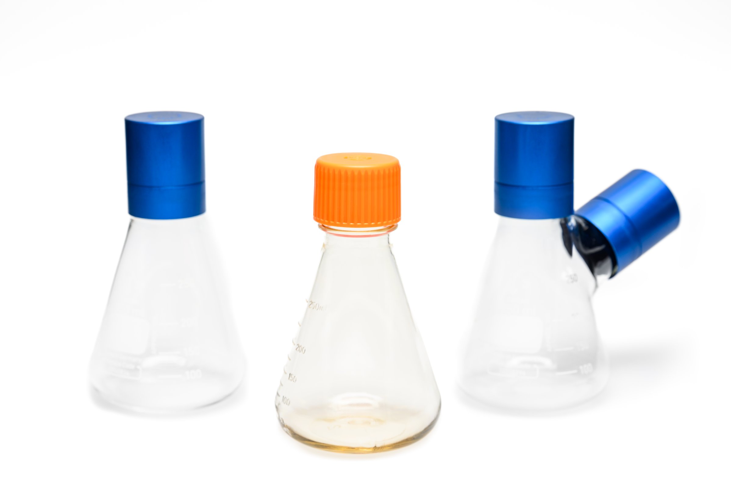 Baffled Versus Nonbaffled Shake Flasks What You Need To Know